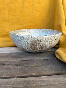 Large speckle bowl