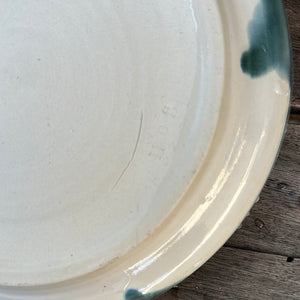 Ocean dish