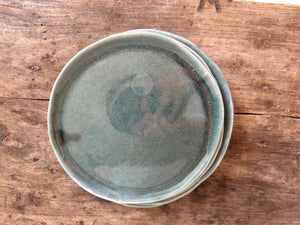 Medium Plate