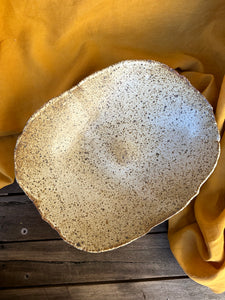 Large speckle dish