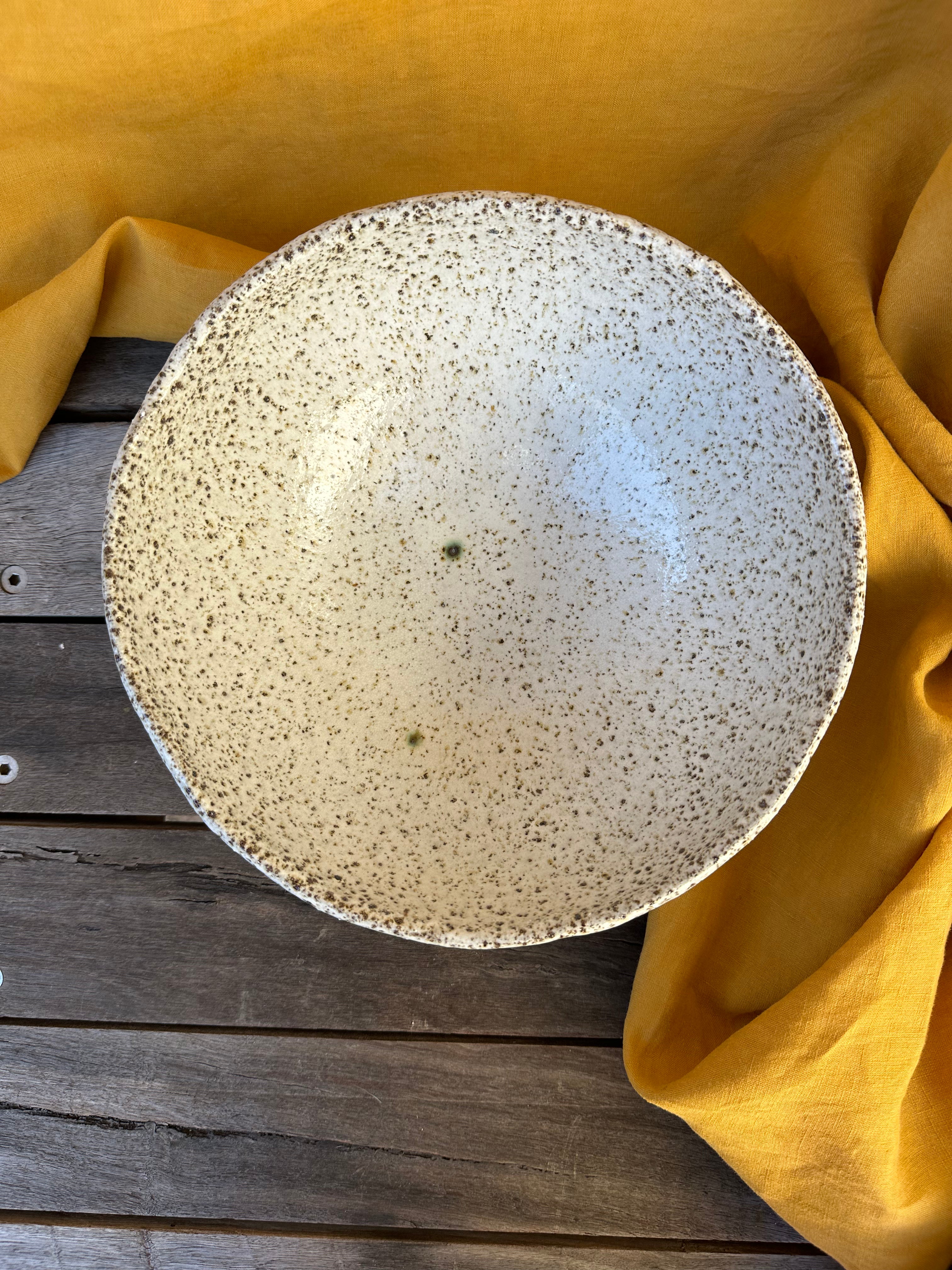 Large speckle bowl